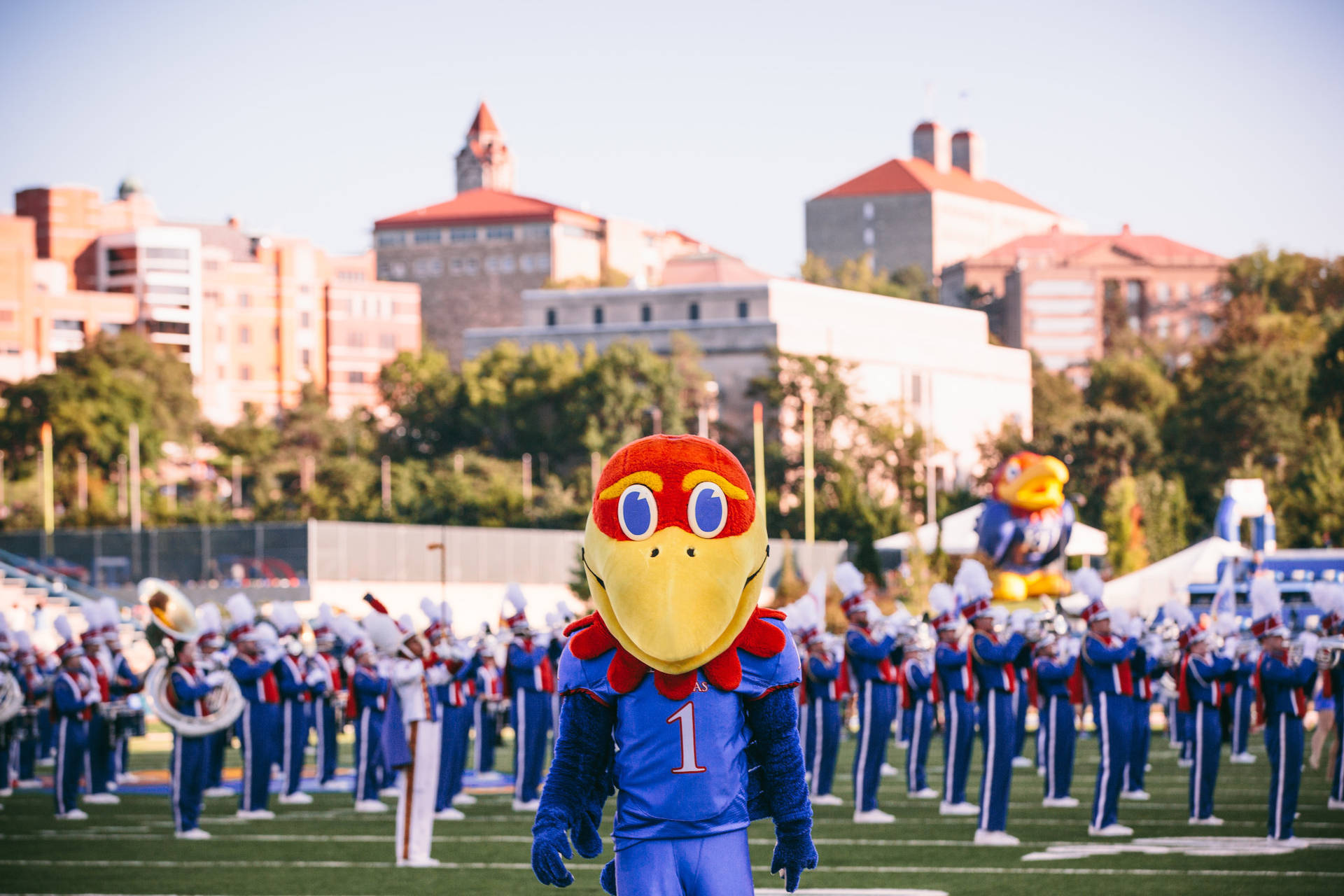 Jayhawk Mascot University Of Kansas