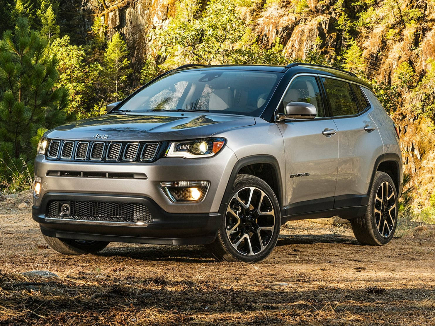 Jeep Compass Gray With Forest Background