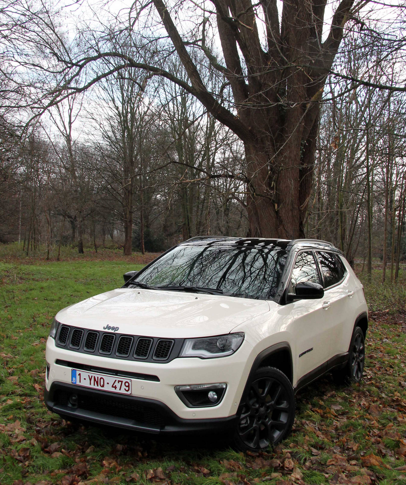 Jeep Compass White Aesthetic By Tree Background