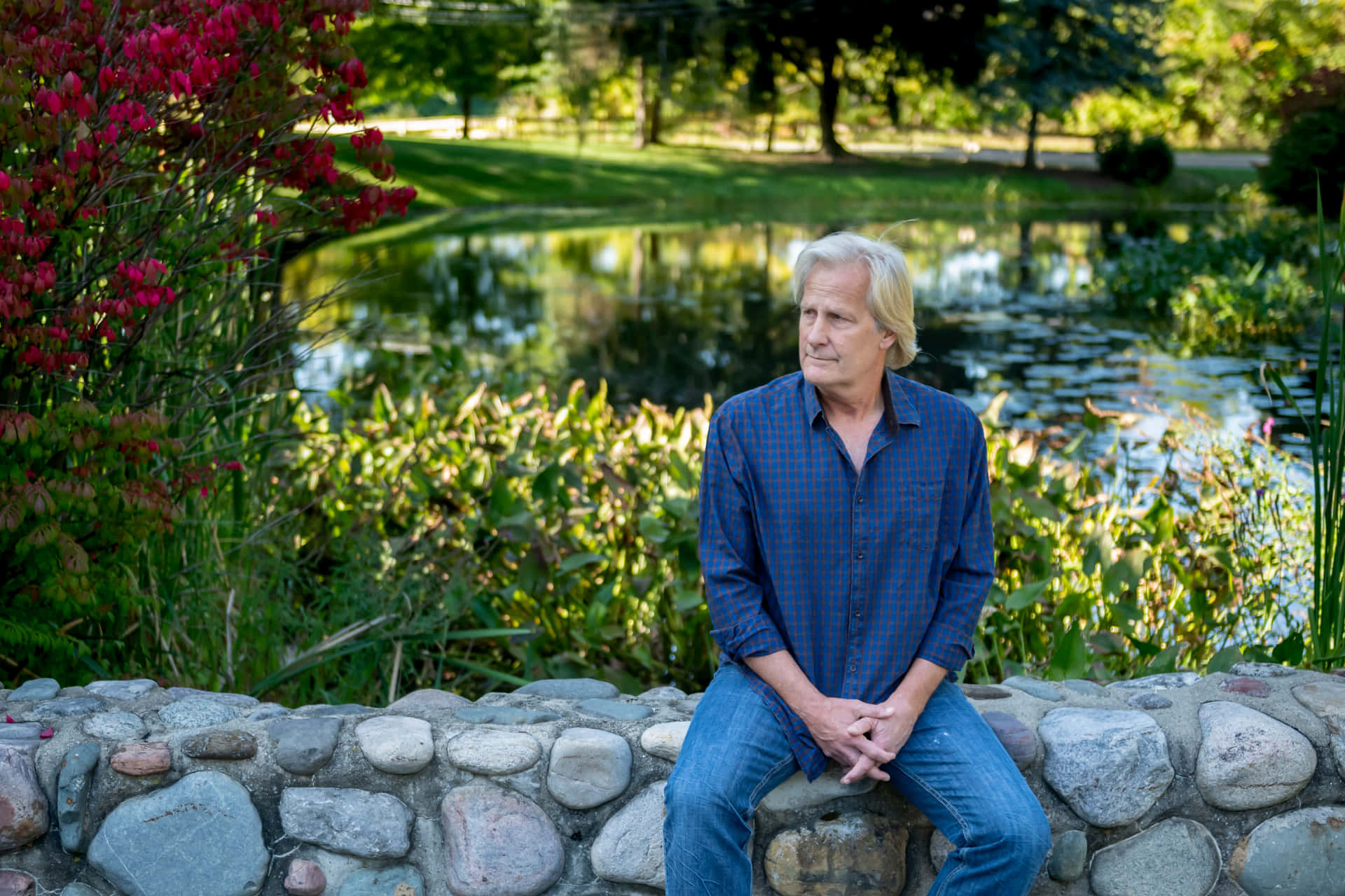 Jeff Daniels 4634 X 3089 Background