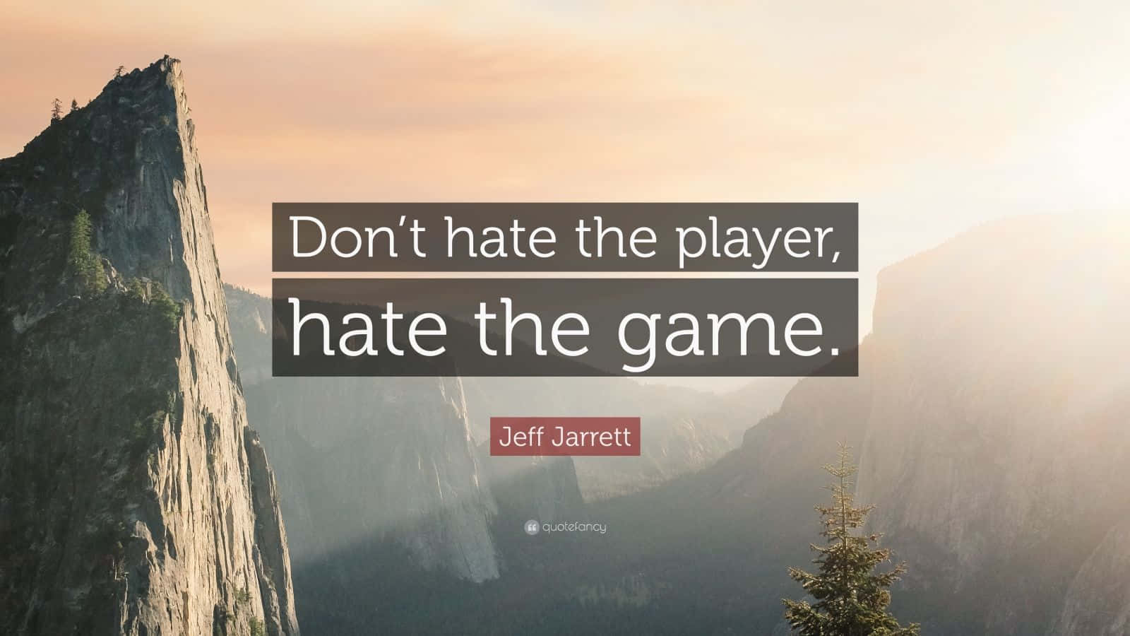 Jeff Jarrett Don't Hate Life Quotes Typography Background