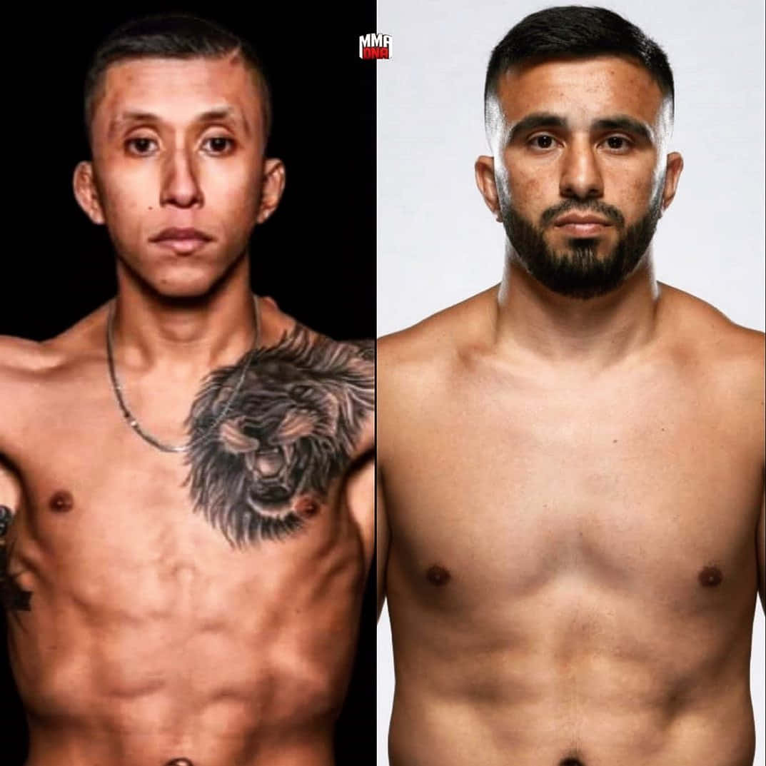 Jeff Molina Versus Zarrukh Adashev Background