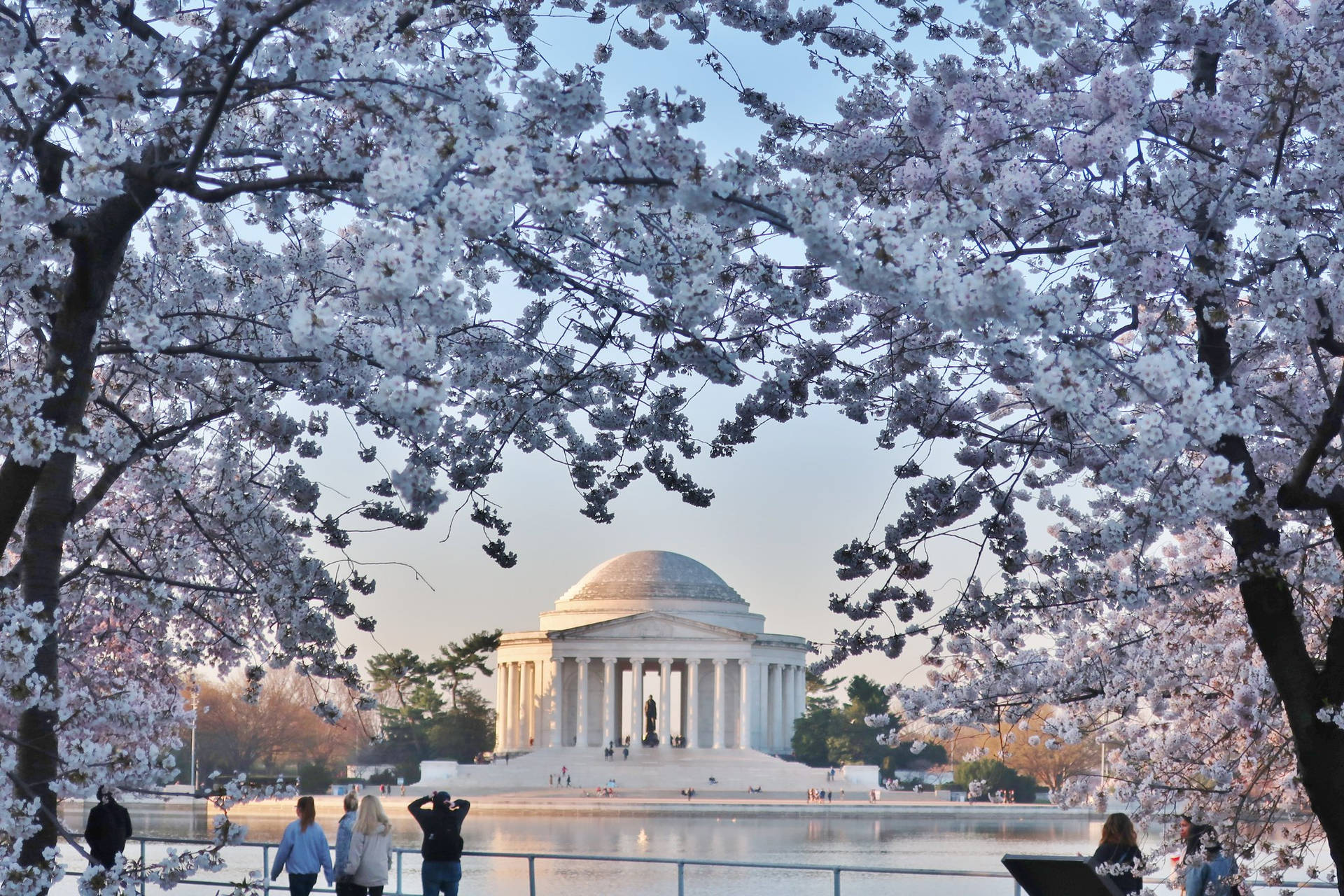 Jefferson Memorial At Spring