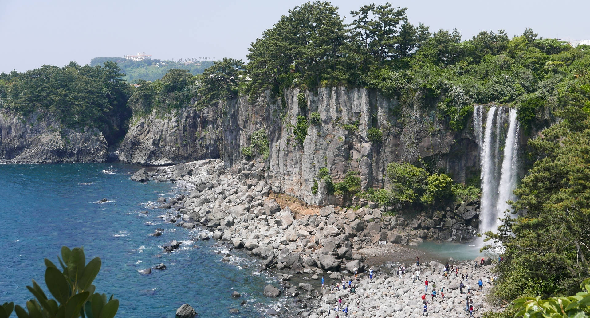 Jeju Island Jeongbang Falls Background