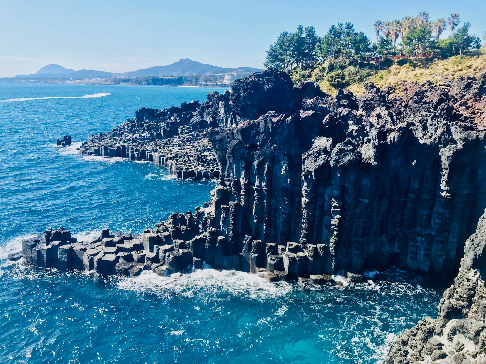 Jeju Island Jusangjeolli Cliff Background