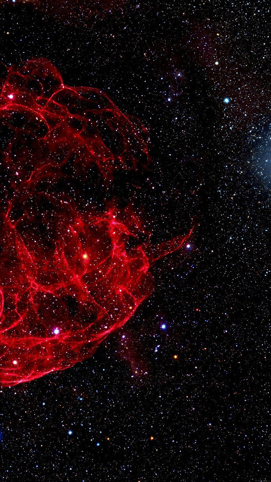 Jellyfish Nebula Iphone Se Background