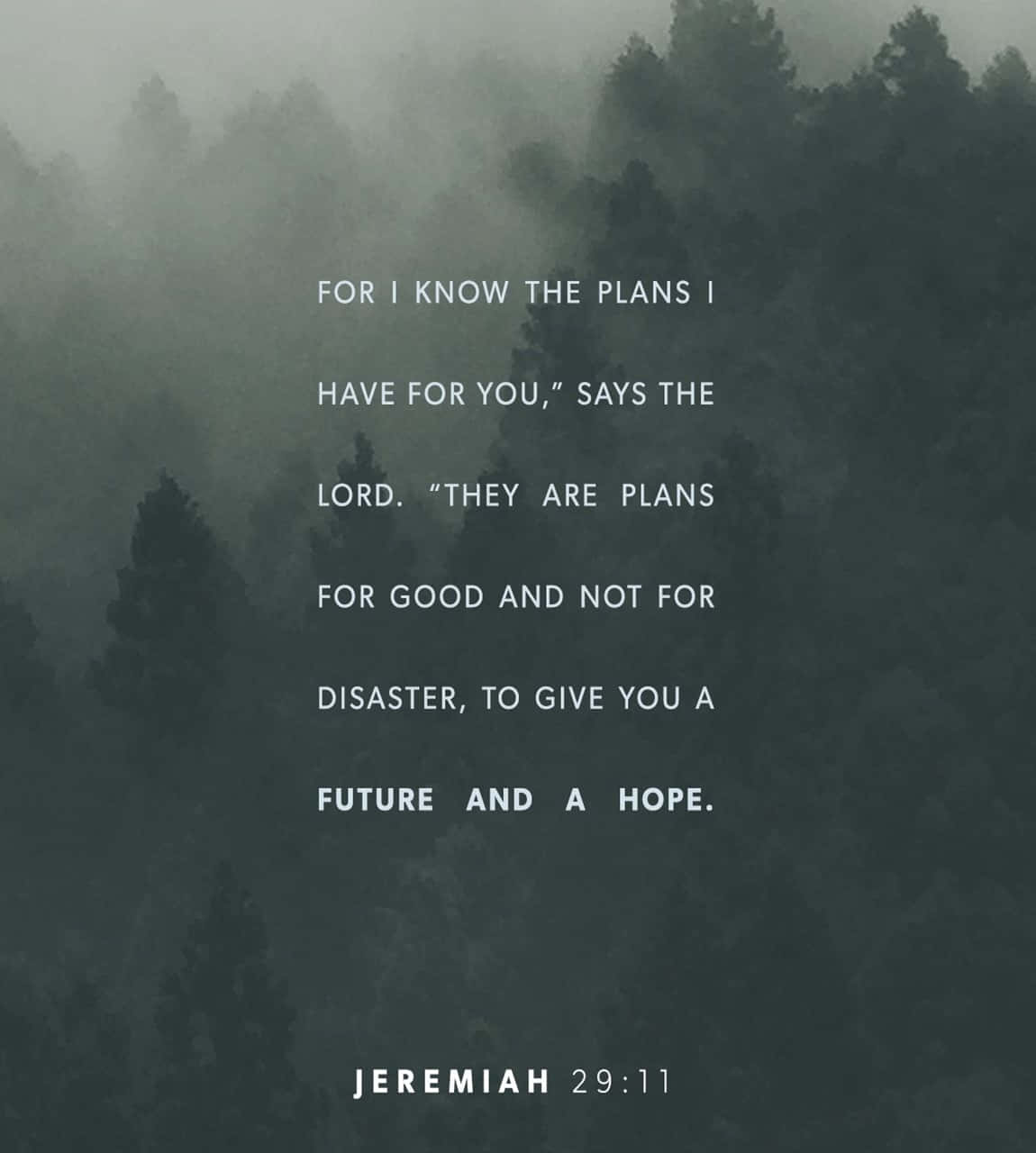 Jeremiah 11:11 - For I Know The Plans I Have For You Says The Lord Good Plans For The Future And Background