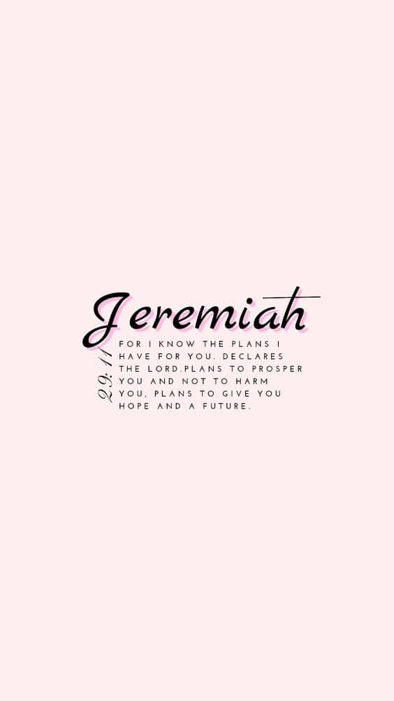 Jeremiah 29:11 Pink Background