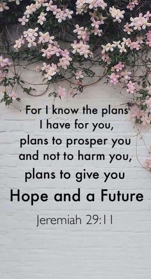Jeremiah 29:11 Pink Flowers Background