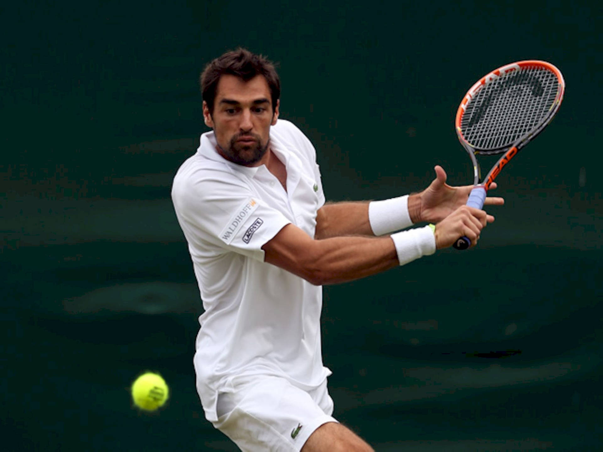 Jeremy Chardy Eyeing Tennis Ball Background