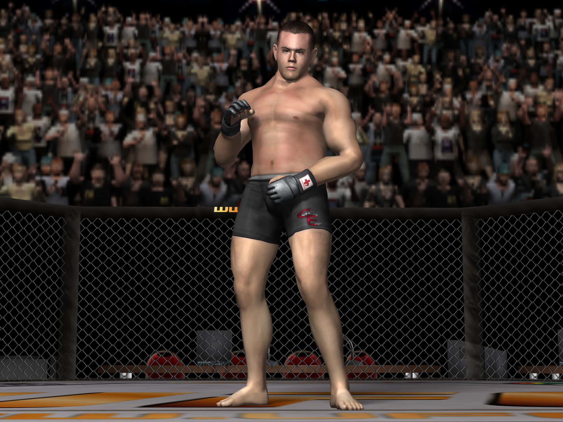 Jeremy Horn Mma 3d Game Simulation Background