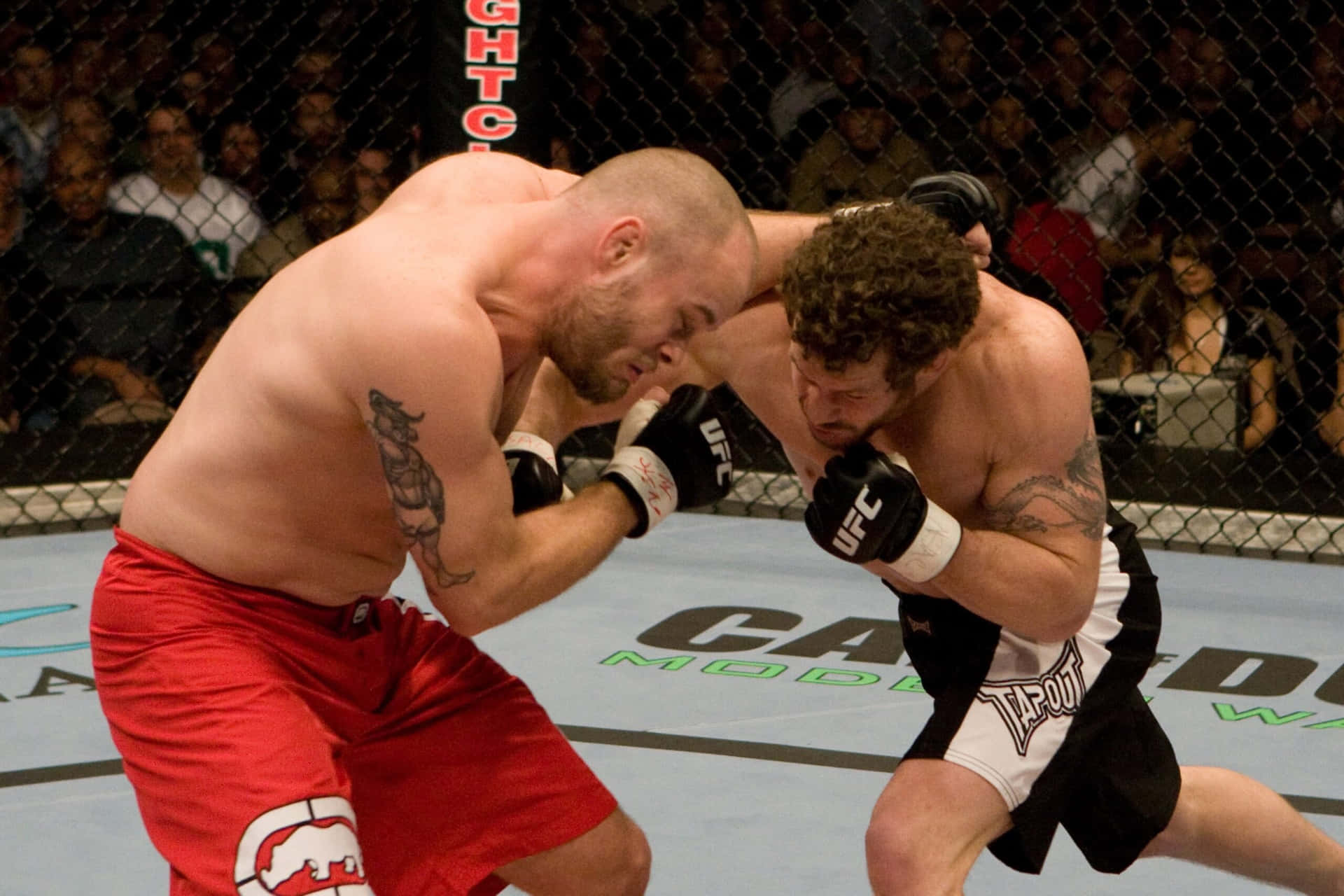 Jeremy Horn Mma Fighter Ufc Background