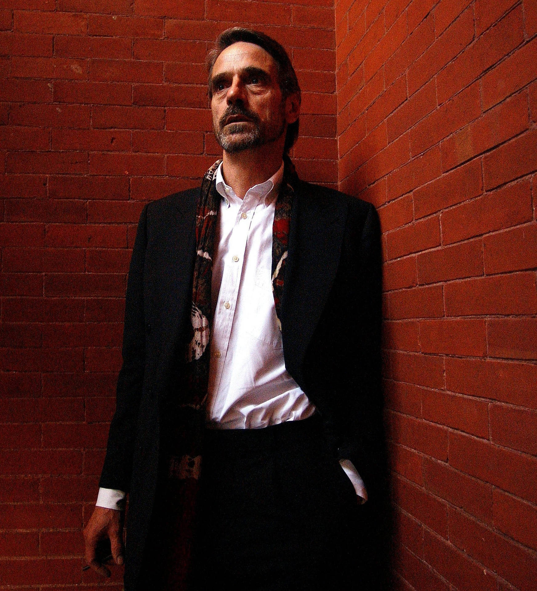 Jeremy Irons With Brick Wall