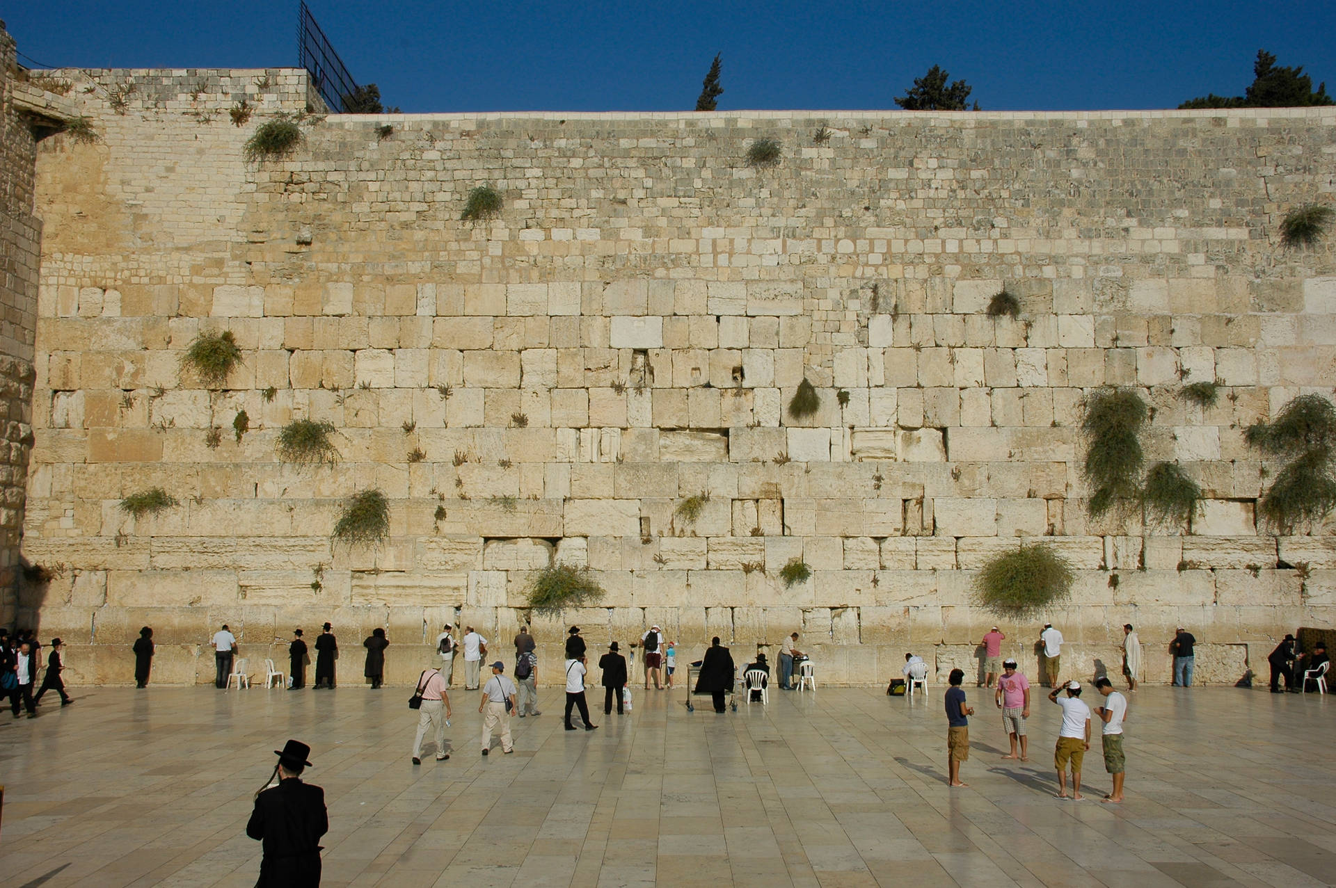 Jerusalem Wailing Wall Background