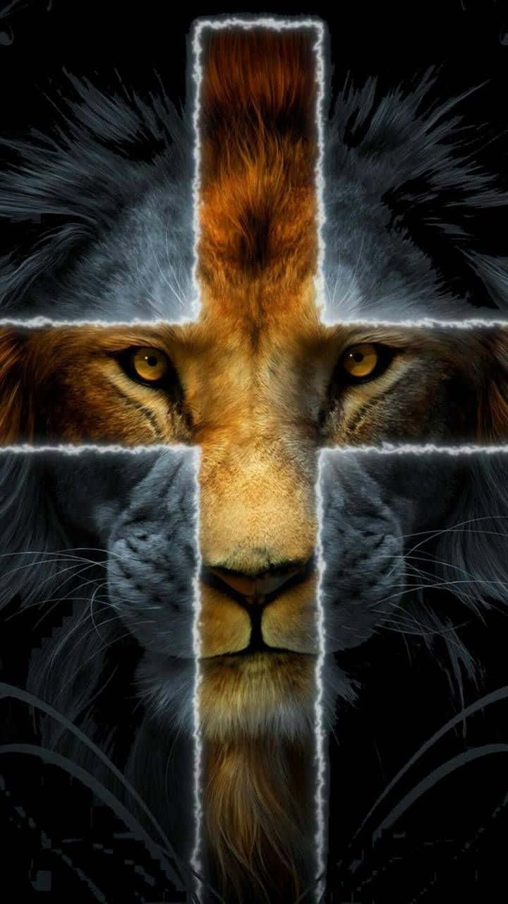 Jesus Is King With Lion Head Background