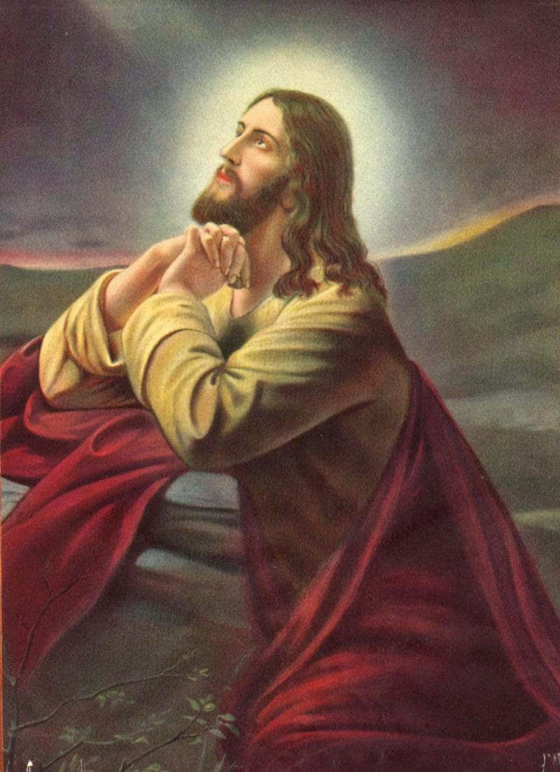 Jesus Praying 800 X 1102