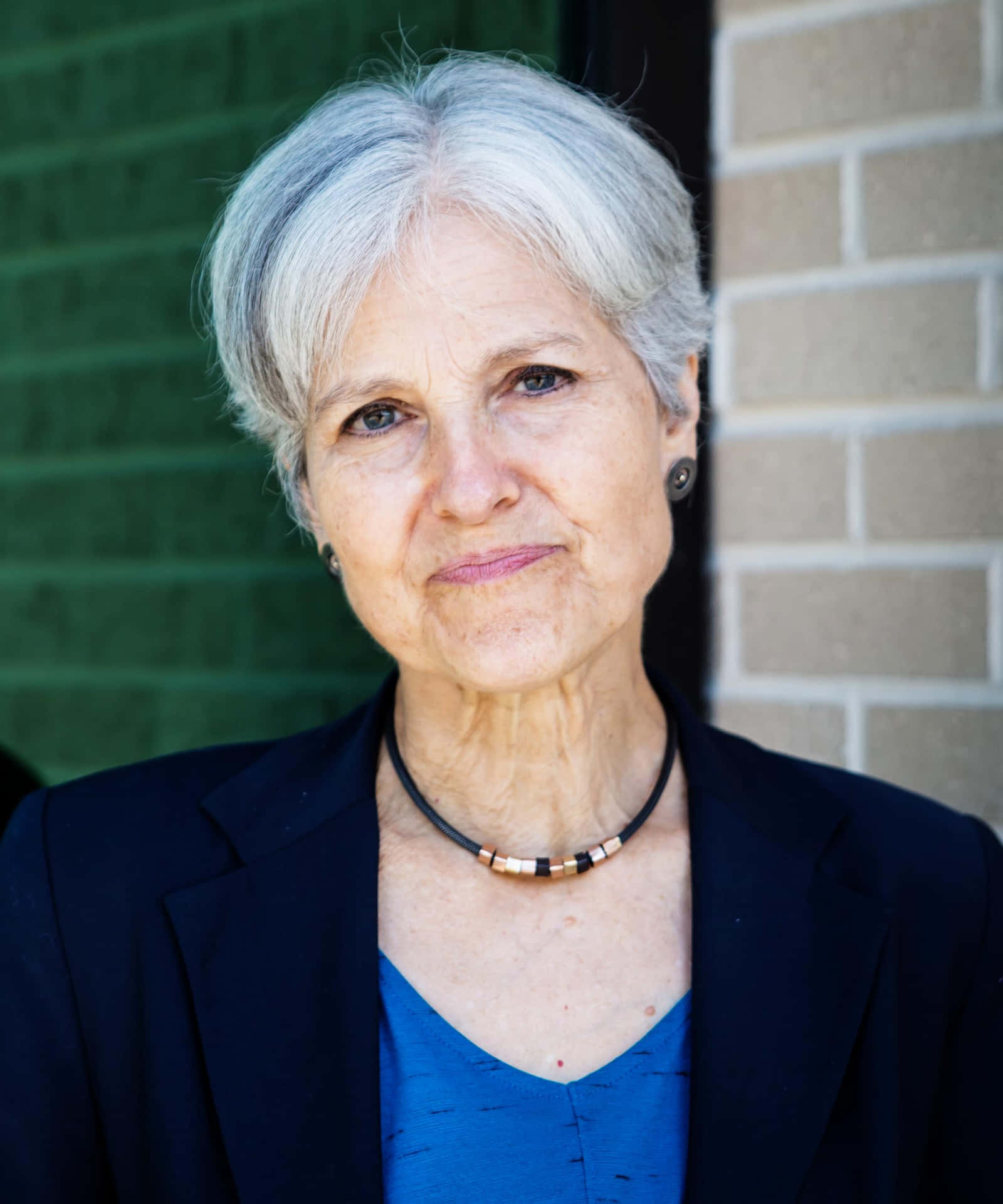 Jill Stein Hd Portrait Background