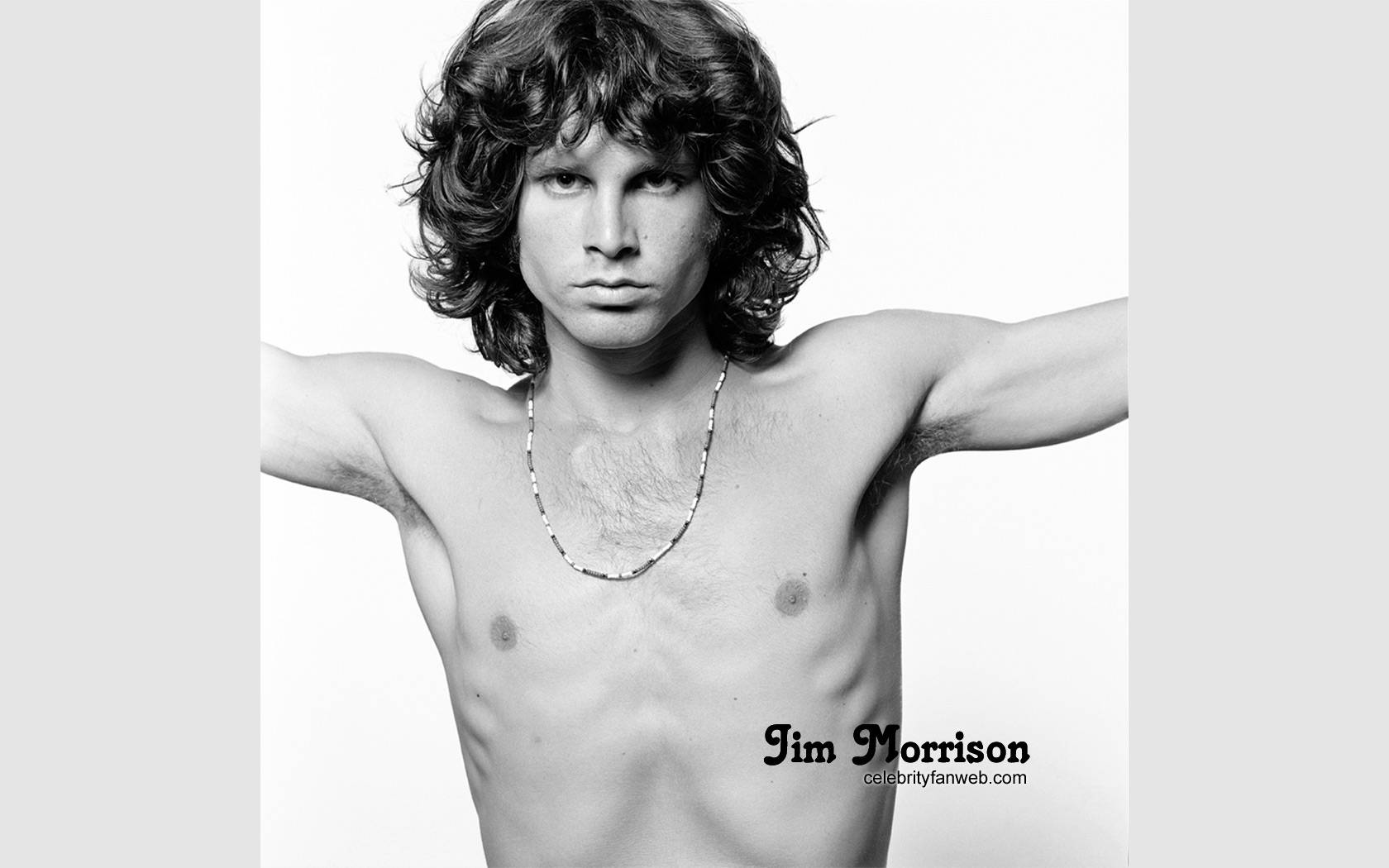 Jim Morrison Half Body Background