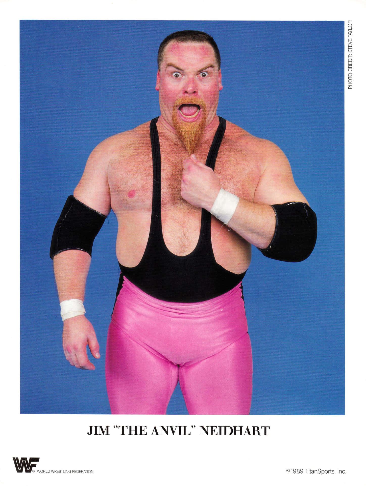Jim Neidhart The Anvil Background