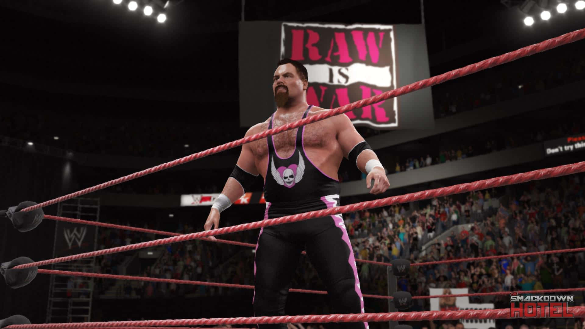 Jim Neidhart Video Game Background