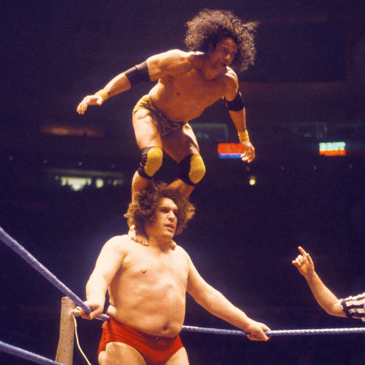 Jimmy Snuka And Andre Roussimoff Background