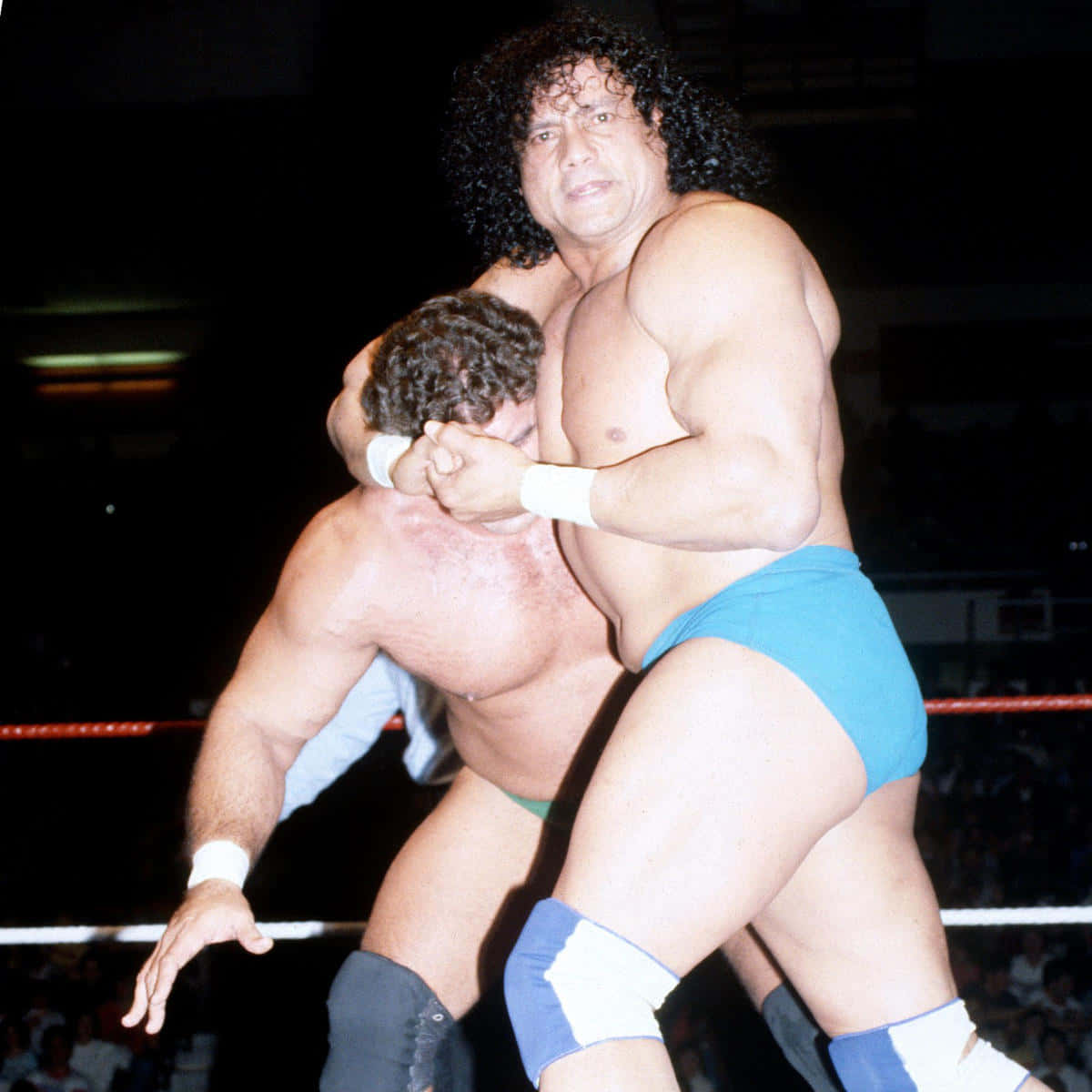 Jimmy Snuka And Andre The Great Background