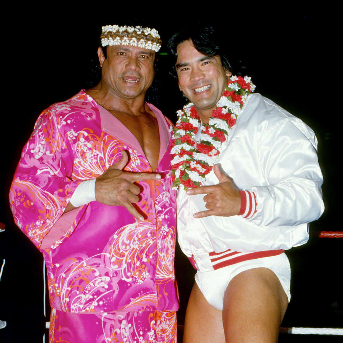 Jimmy Snuka And Ricky Steamboat Background