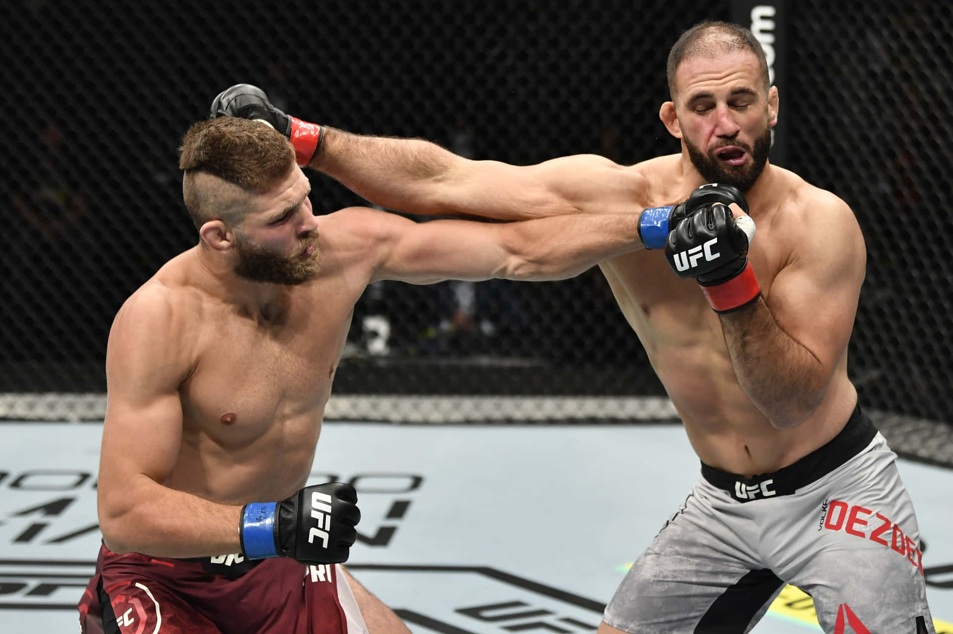 Jiri Prochazka Punching Volkan Oezdemir Background