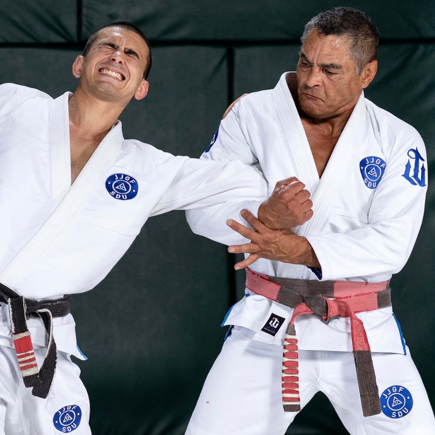 Jiu Jitsu Masters Training Session Background