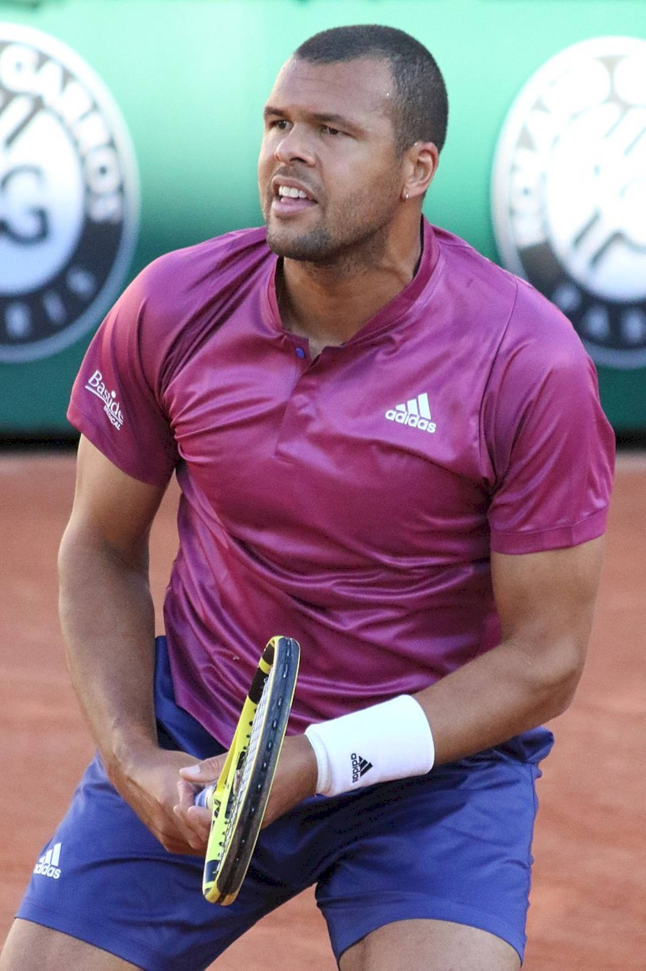 Jo-wilfried Tsonga Magenta Adidas Shirt