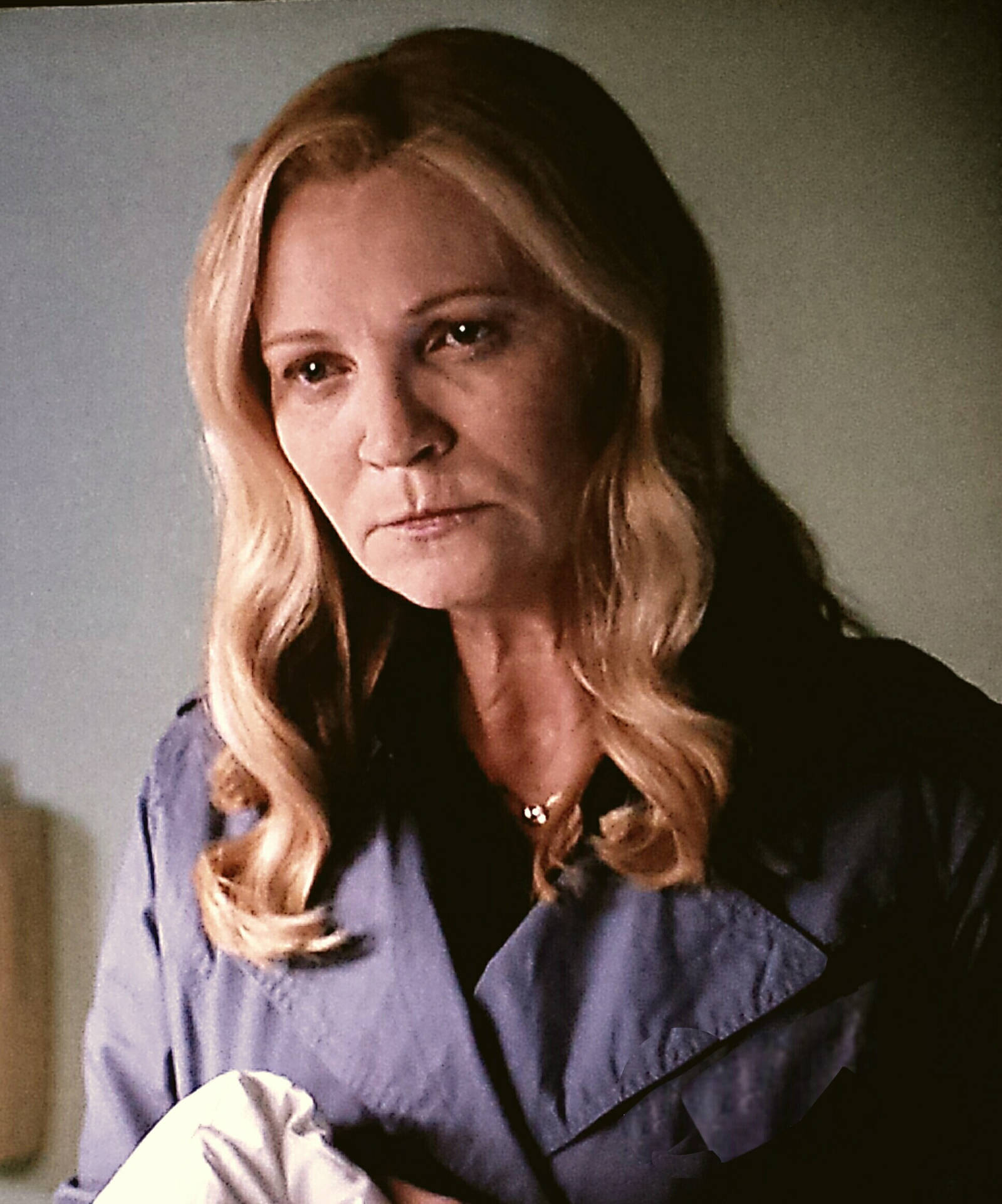 Joan Allen Good Marriage