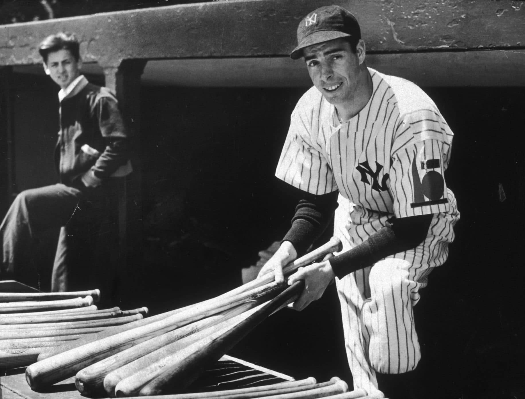 Joe Dimaggio Baseball Bats Background