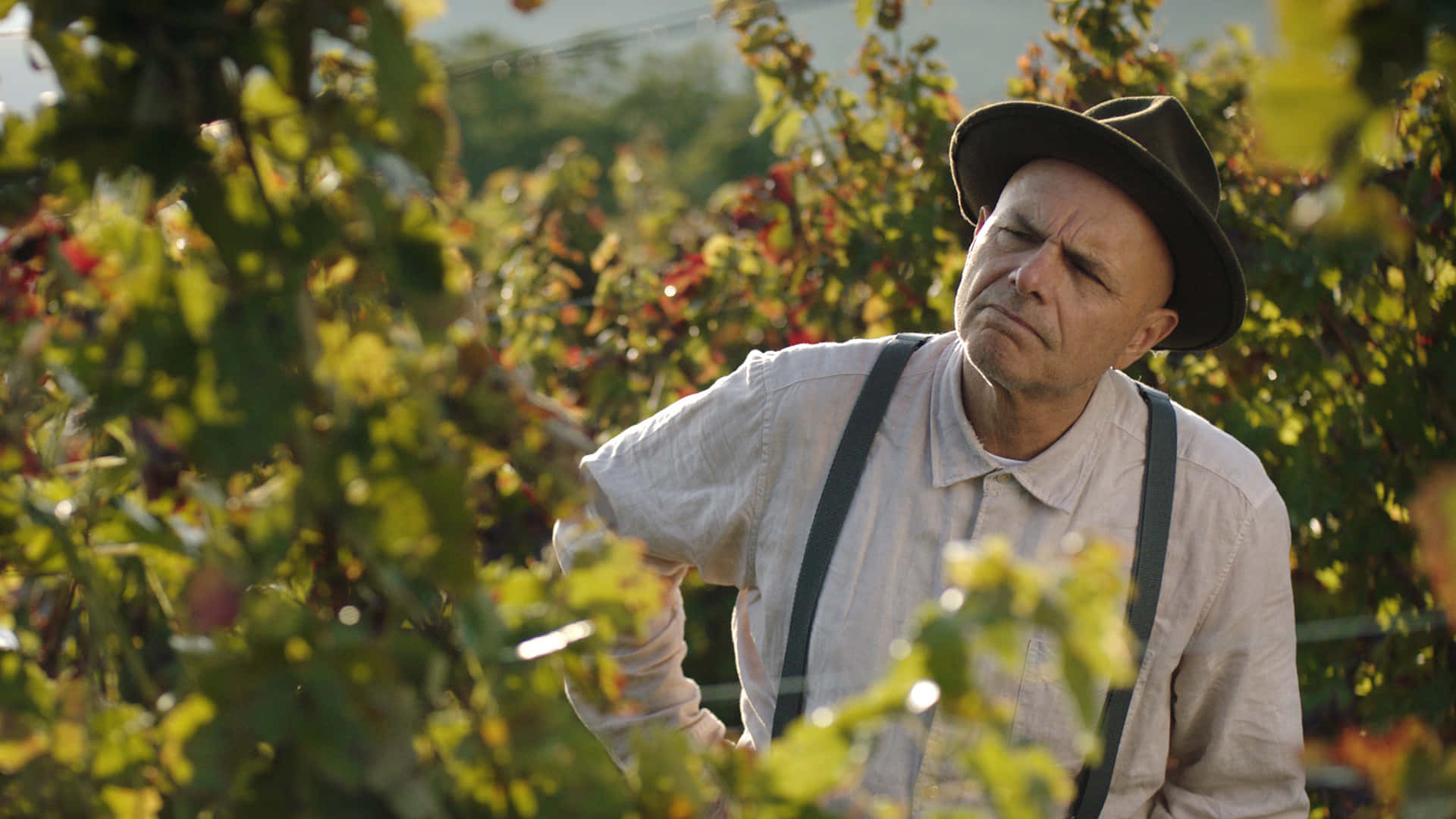 Joe Pantoliano 1920 X 1080 Background