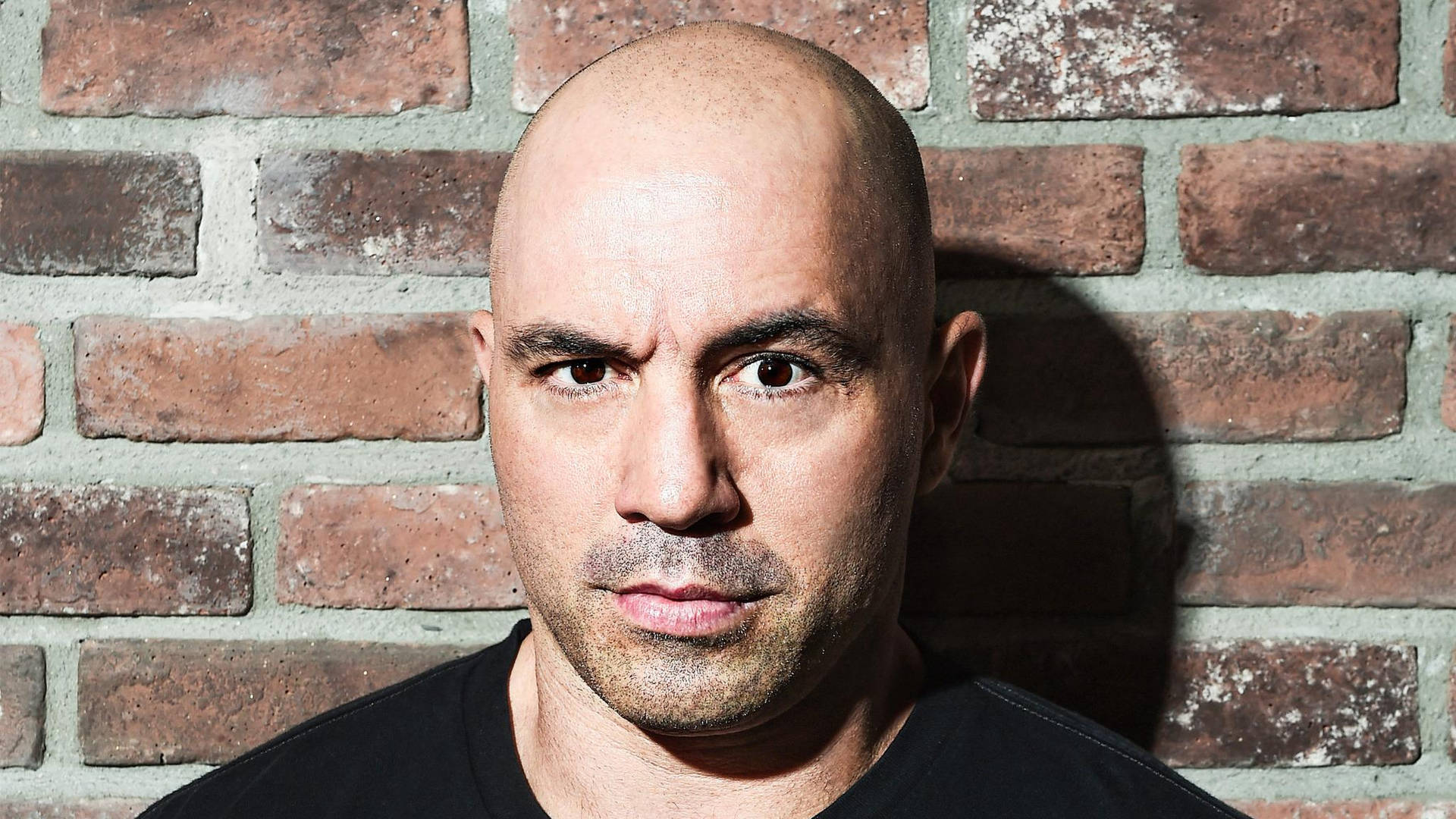 Joe Rogan Leaning On A Brick Wall Background