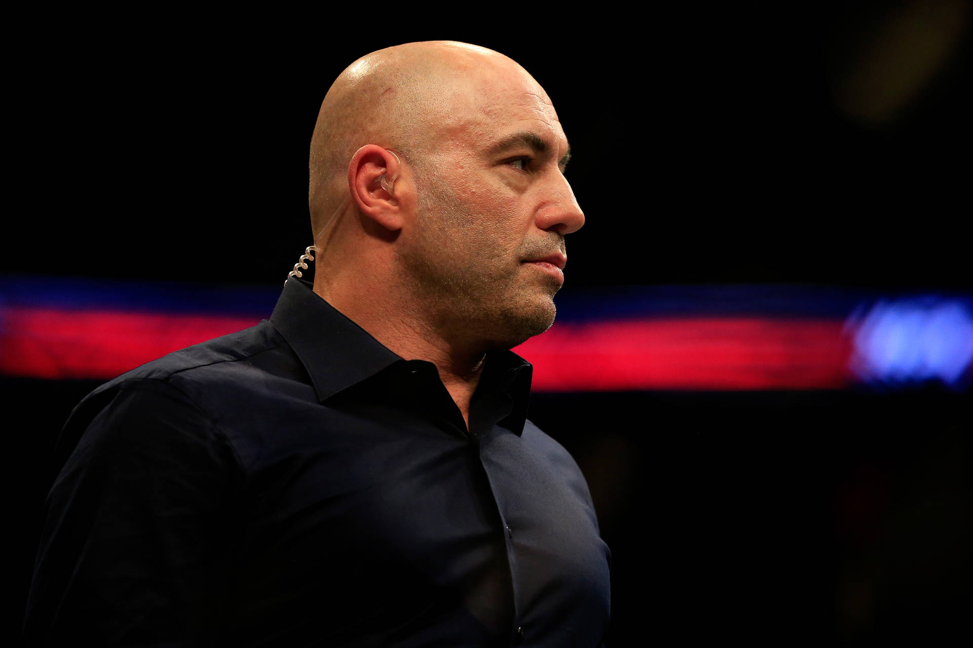 Joe Rogan On Ufc Octagon Background