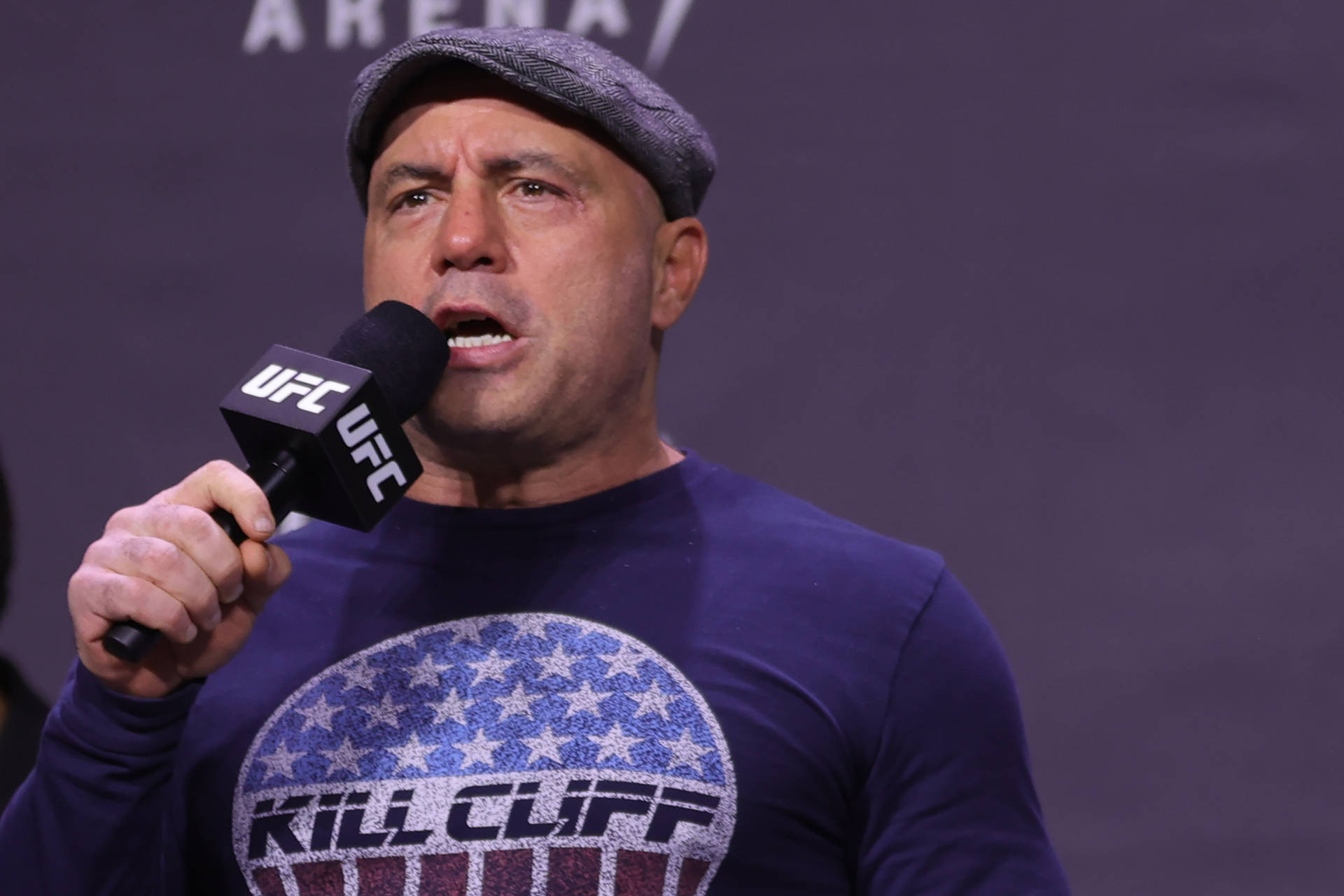 Joe Rogan Ufc Announcer