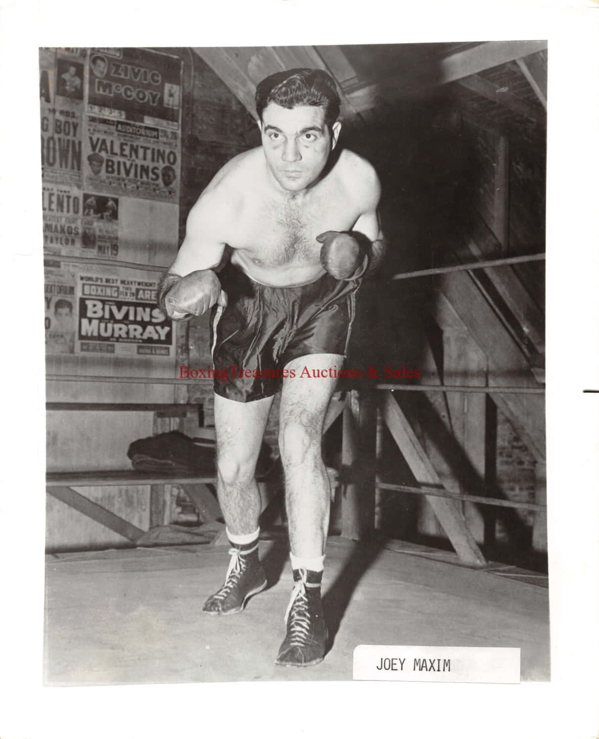 Joey Maxim, A Boxing Legend Background