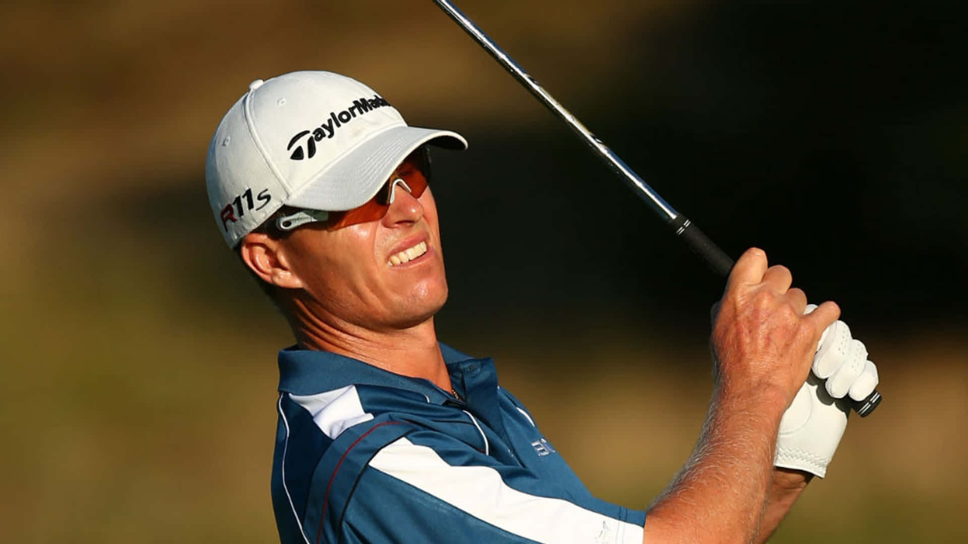 John Senden Looking Golden