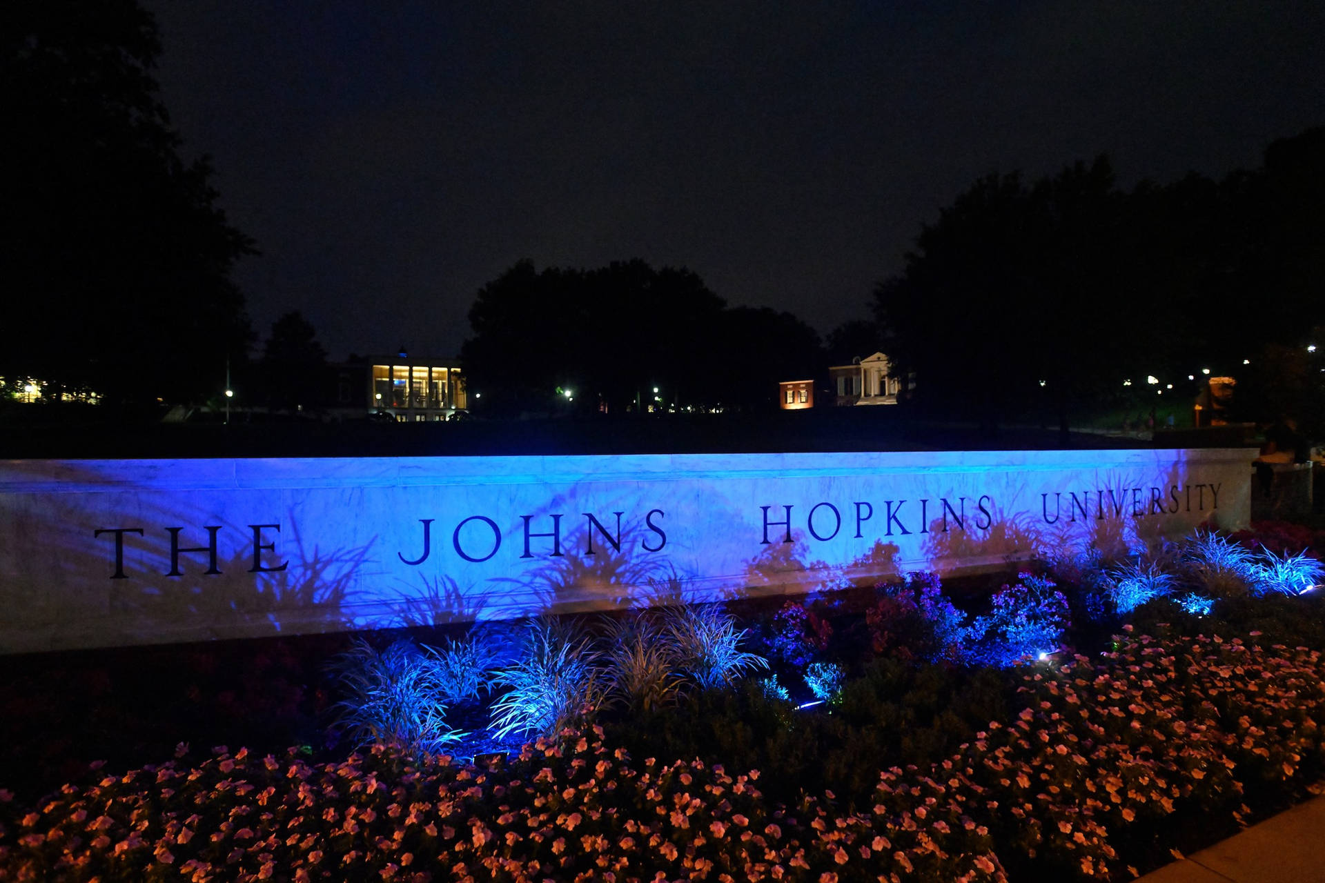 Johns Hopkins University Contrasting Colors Background