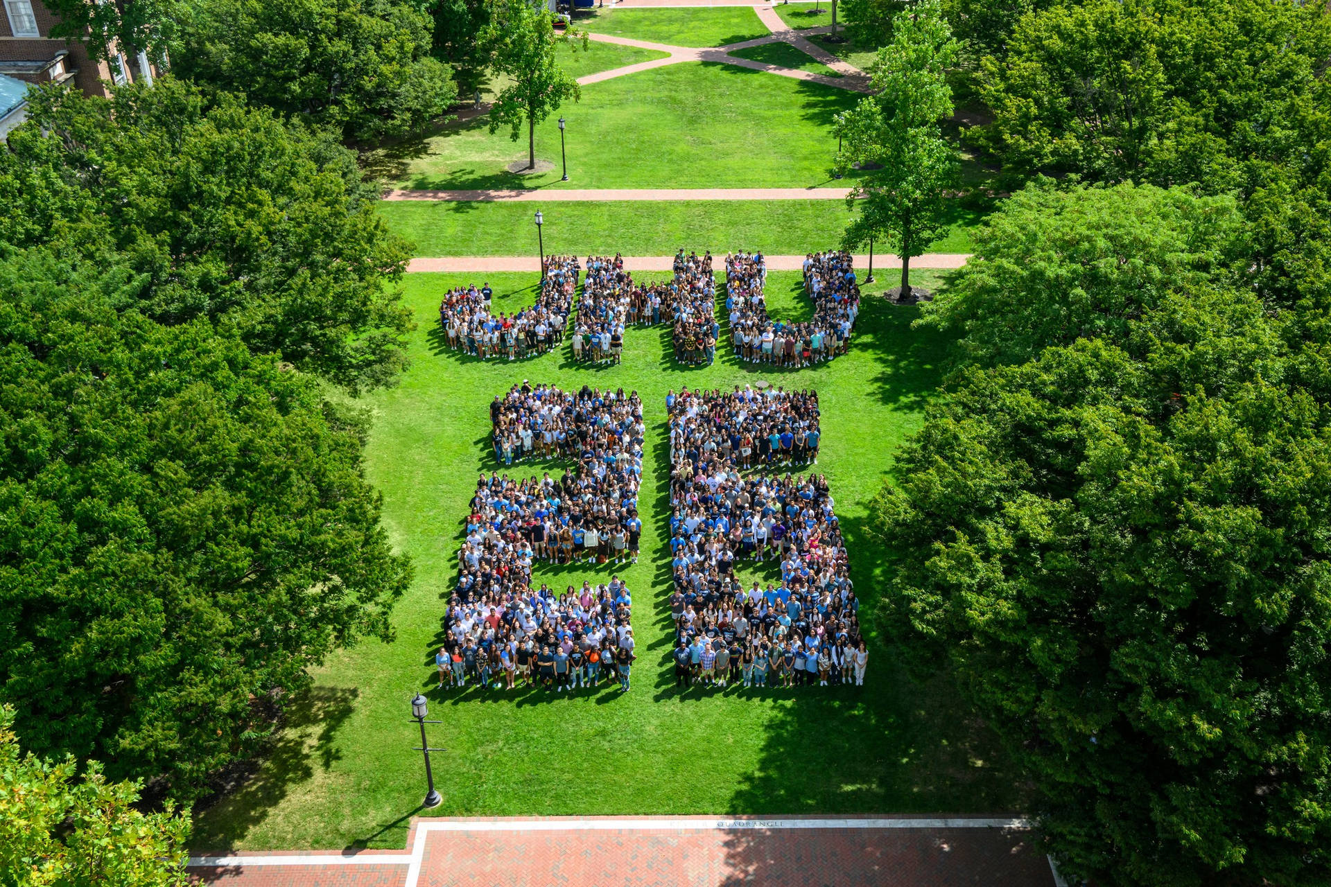 Johns Hopkins University Formed Up Background