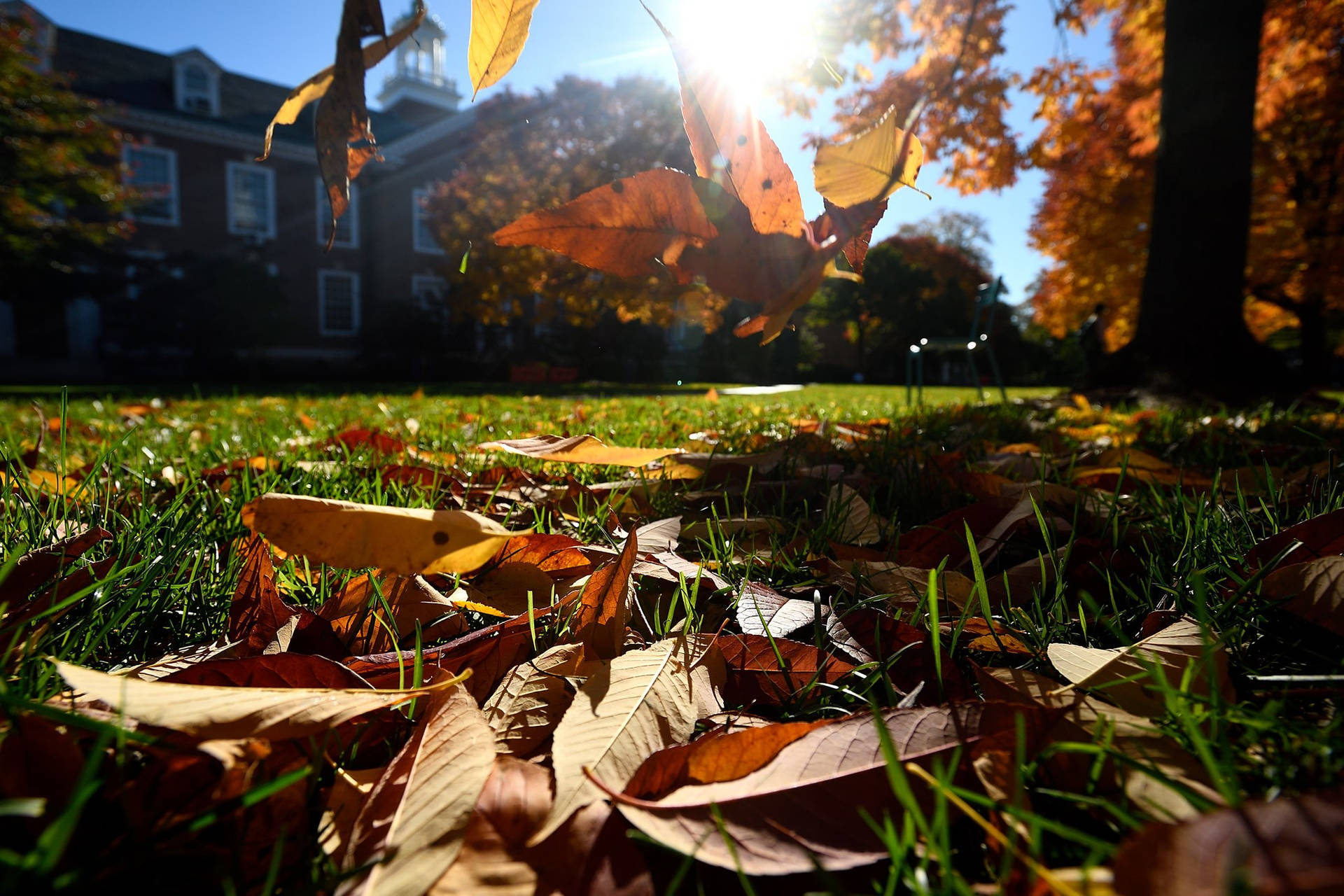 Johns Hopkins University Gilman Hall Background