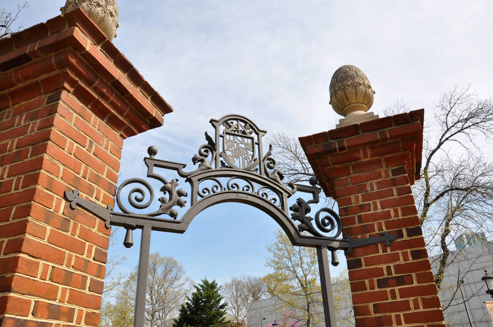 Johns Hopkins University Iron Arch Background