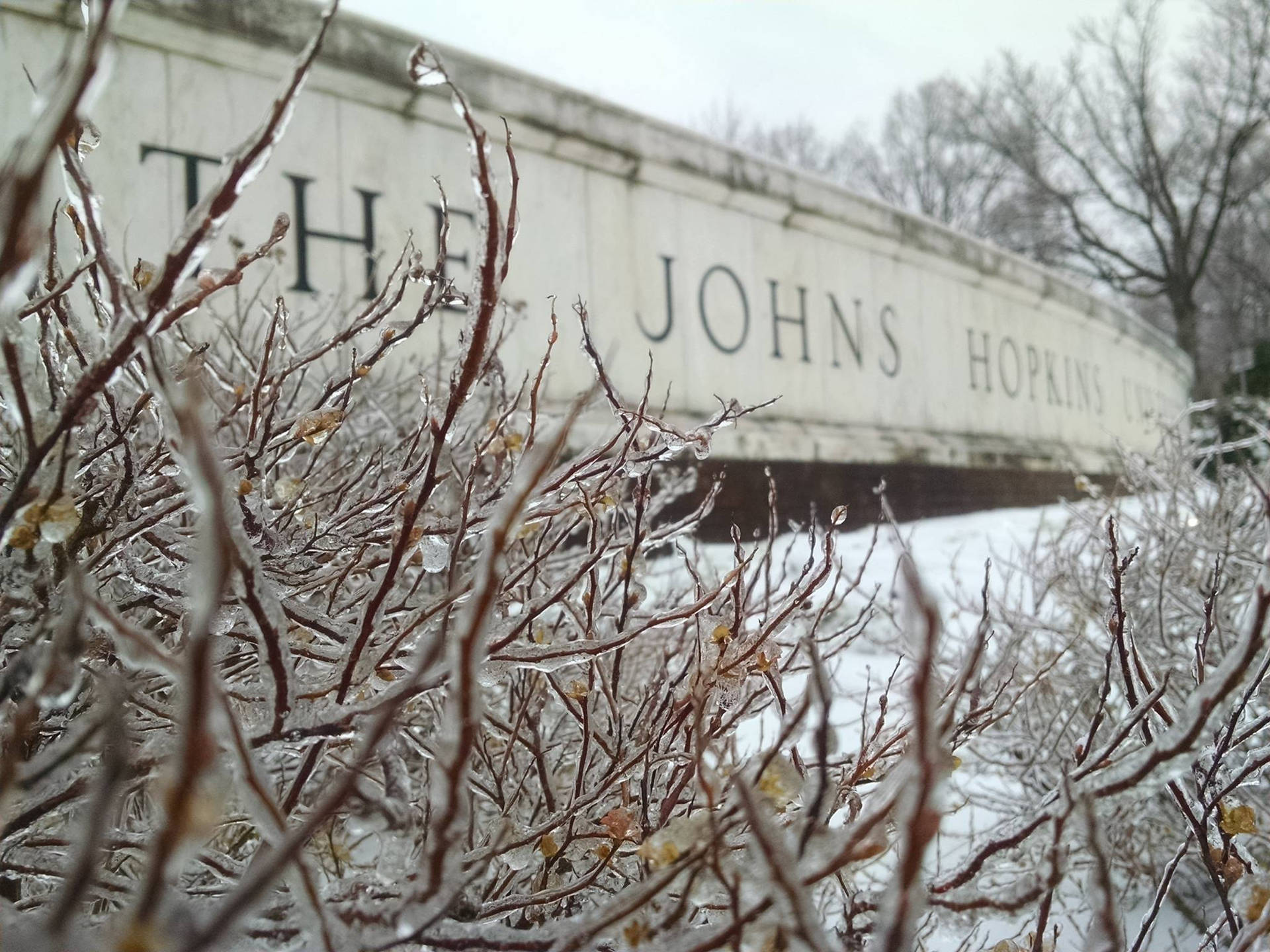 Johns Hopkins University Low Wall Background