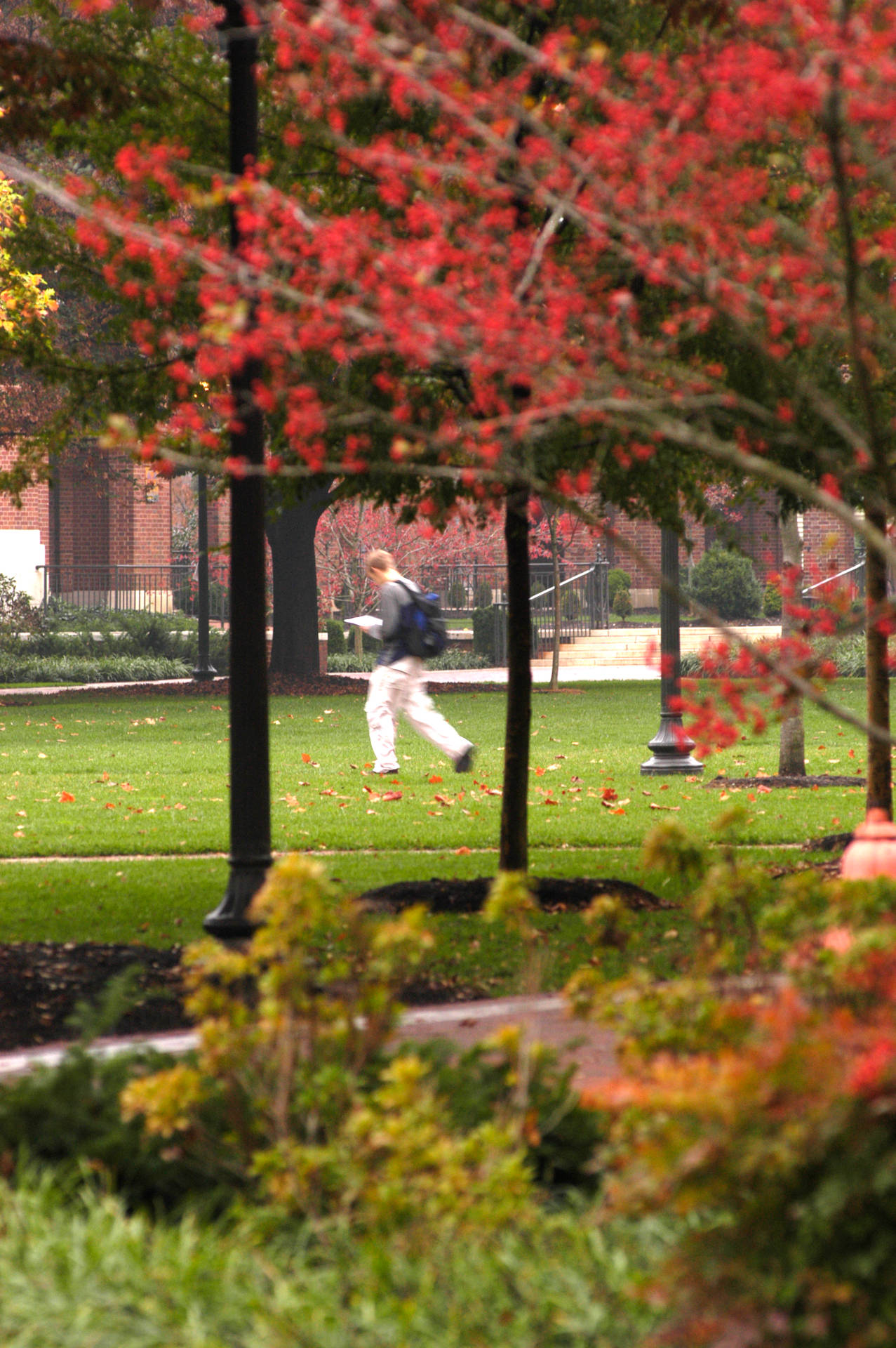 Johns Hopkins University Reading And Walking Background