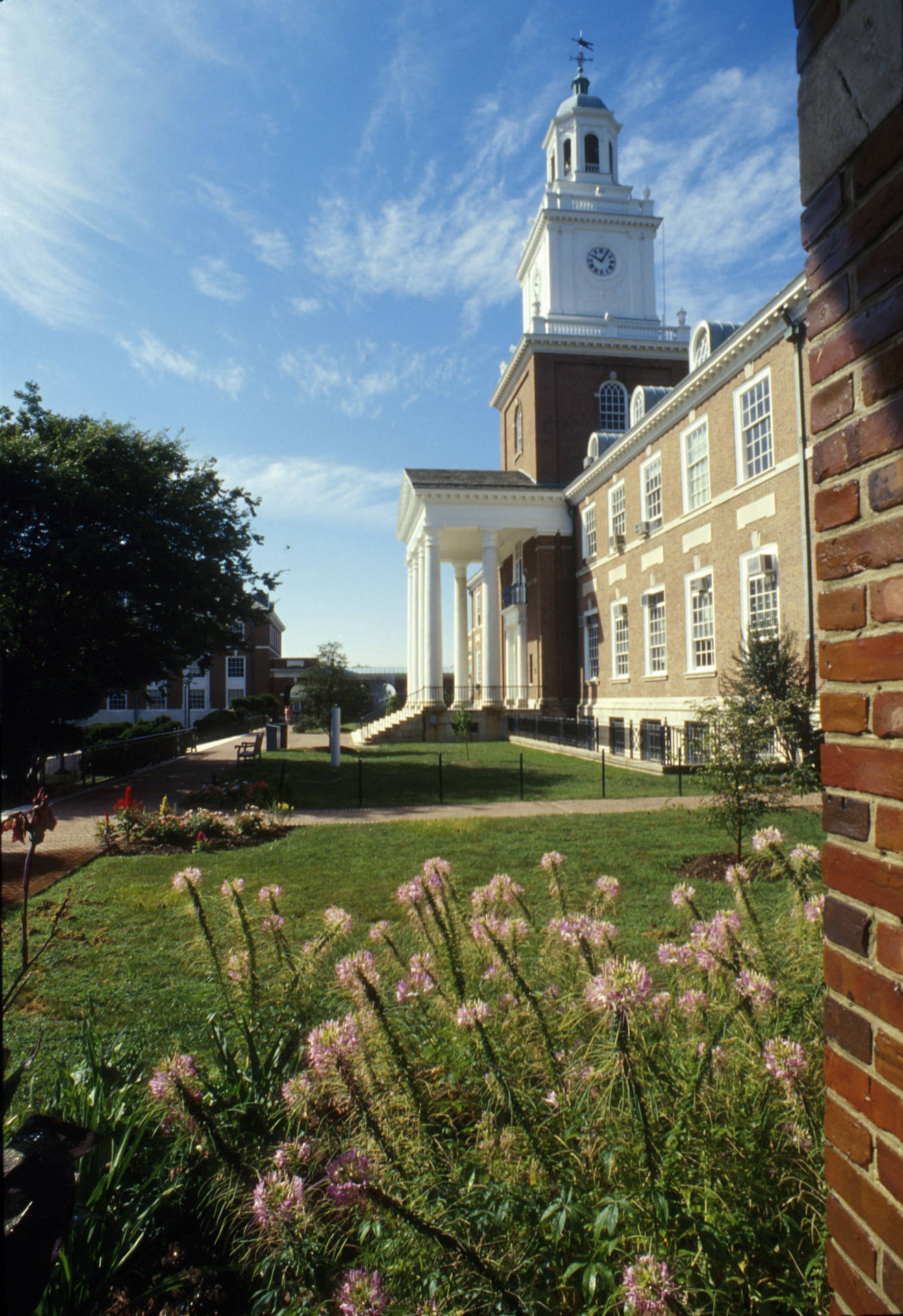 Johns Hopkins University Sideways View Background