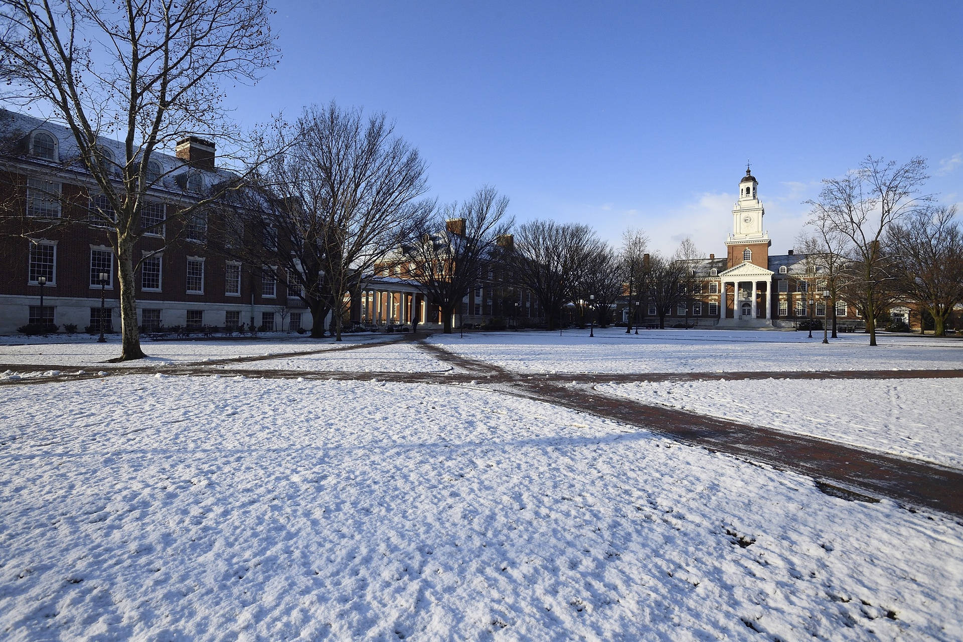 Johns Hopkins University Snowy Lawns Background