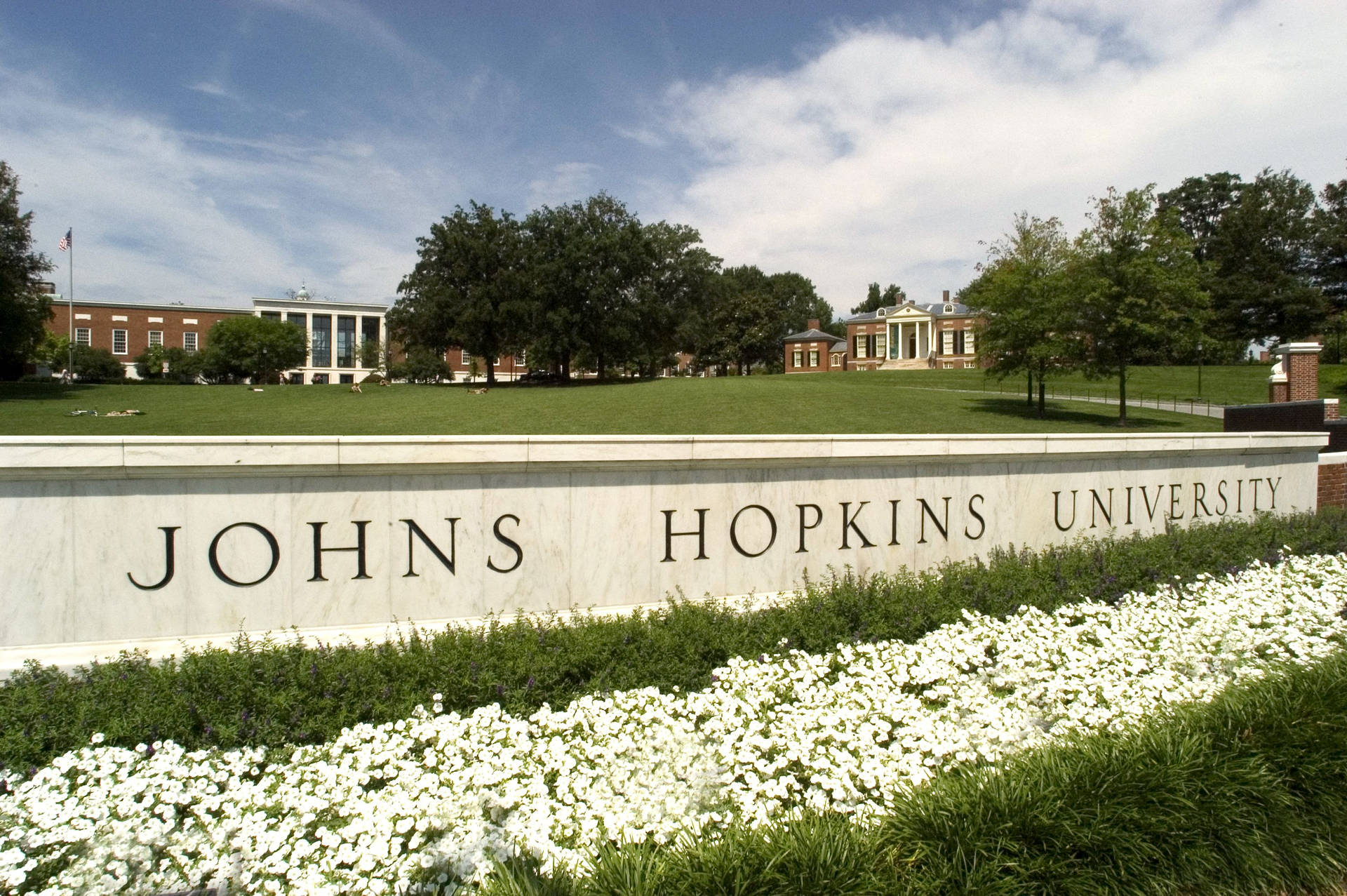 Johns Hopkins University White Flowers Background