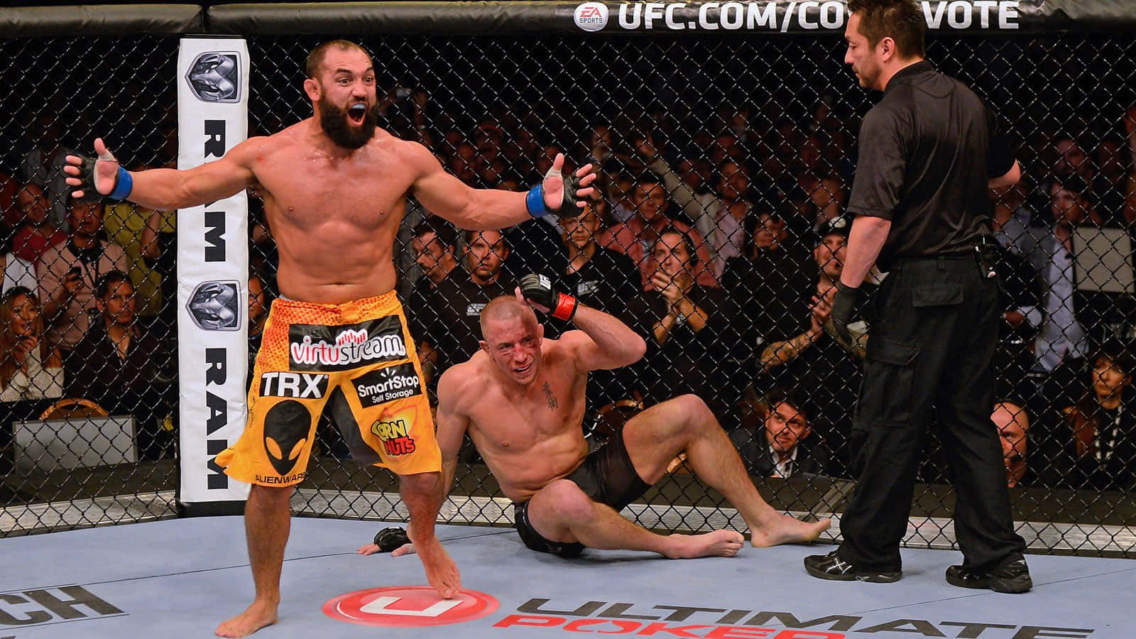 Johny Hendricks Knock Down Background