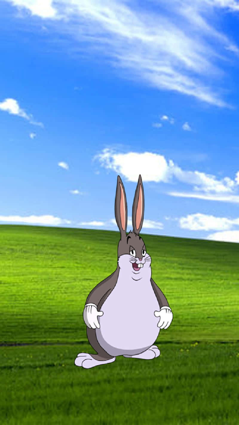 Join Big Chungus And Hop On The Fun Ride! Background