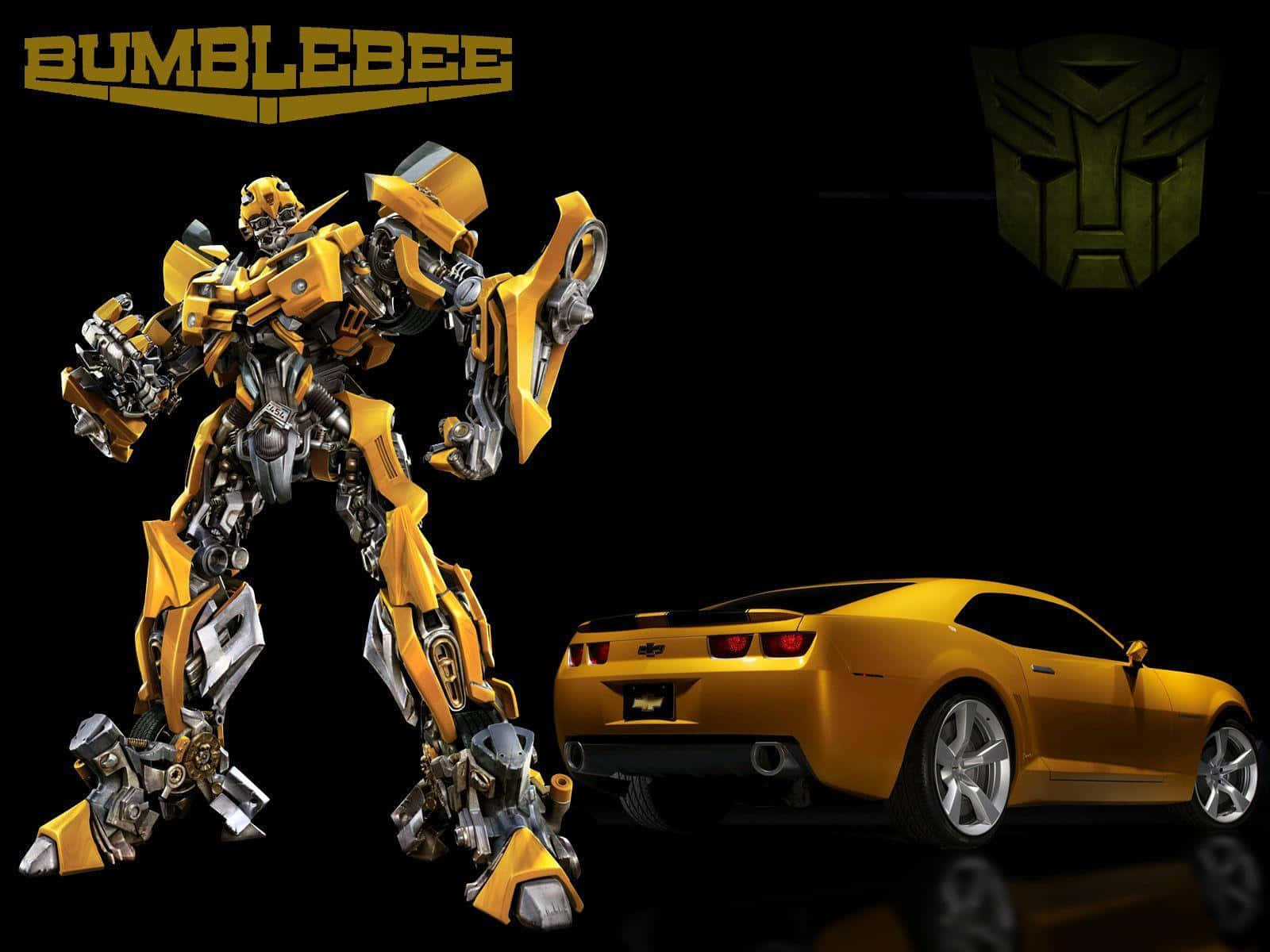 Join Bumblebee On The Road To Adventure